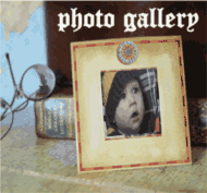 Photo Gallery